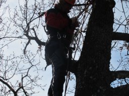 img_1431_576x768