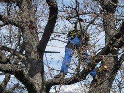 img_1432_576x768