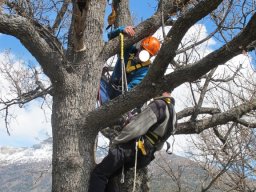 img_1434_576x768