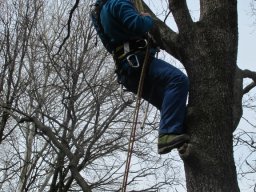 img_1436_576x768