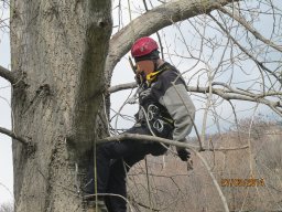 img_1450_1024x768